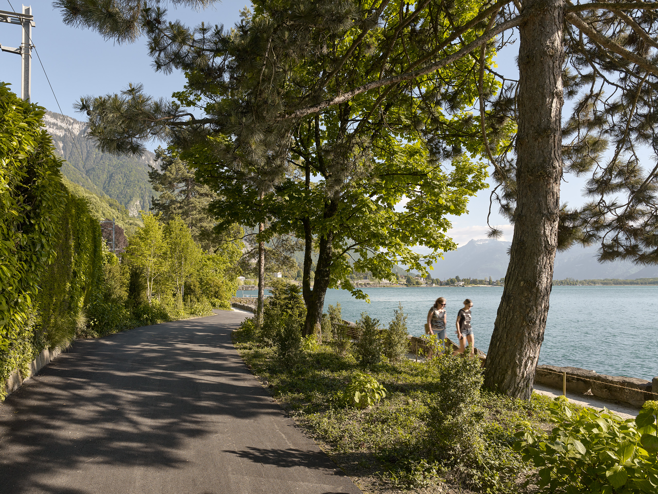 Ahp0013 alpa 100887 C